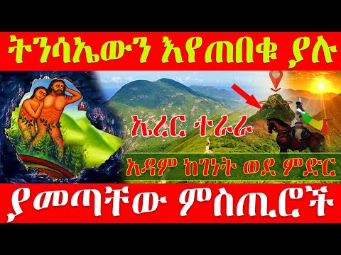 ቪዲዮ: አስማታዊ መብራት ተፈጥሮ ቻንዴሊየር -በክፍሉ ውስጥ ተረት ጫካ