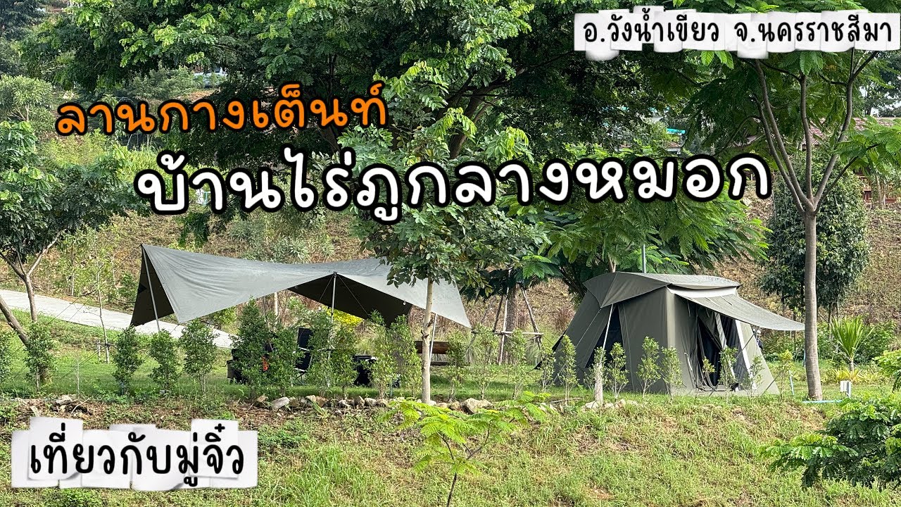 บ้านไร่ภูกลางหมอก วังน้ำเขียว | ลานกางเต็นท์ขนาดใหญ่ มีหลายโซน ราคาไม่แพง | EP.8