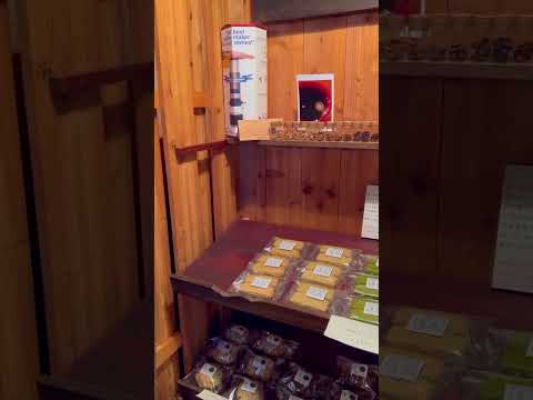 兵庫県小野市の古民家カフェ【かえもんカフェ】の絶品ぜんざいを堪能 #shorts #カフェ巡り #兵庫県カフェ