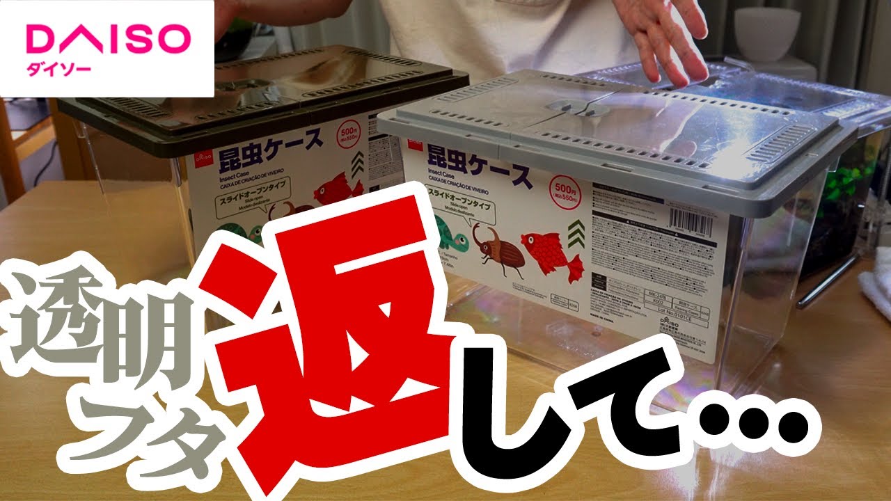 【100均アクア】300円水槽飼育ケースが廃盤…？500円の大きいスライダーケースとの比較＆在庫チェック！夏休み用に買えるかな #ダイソー #アクアリウム #熱帯魚 【ビバアクア】