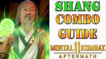 MK11 Aftermath - Shang Tsung Combo Guide