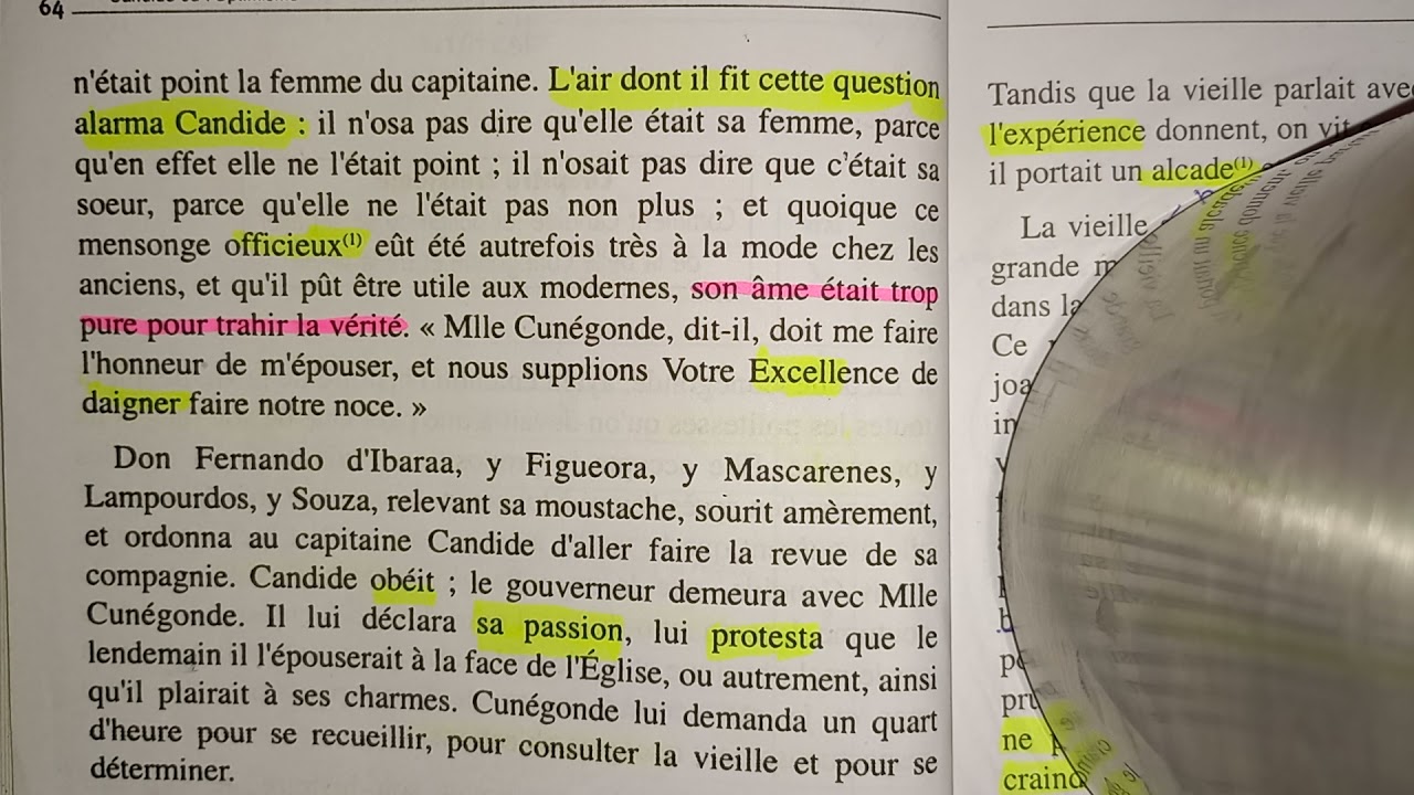 Candide ou l'optimisme chapitre 13ème -lecture et explication