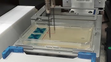Automated spreading of microbial cultures on agar plates using spiral move of Tecan liquid handler.