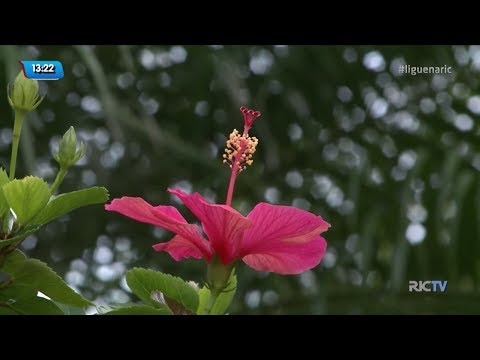 Mudança de temperatura