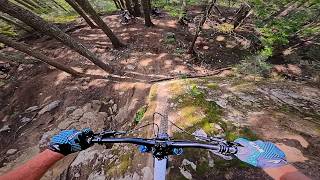 Whistler Bike Park - More Carnage!