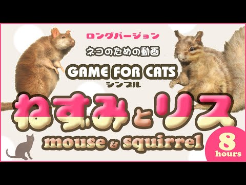 [Video MIX for Cats] Mouse & Squirrel 8 hours GAME FOR CATS - SIMPLE - Mouse & Squirrel 8 hours