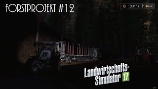 LS 17 | Südtiroler Bergwelten | #12 | Forstprojekt | Deutsch | Full HD | YT New Holland T4030
