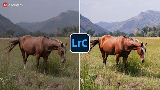 FREE Lightroom Preset "Retro Look" Before & After screenshot 4