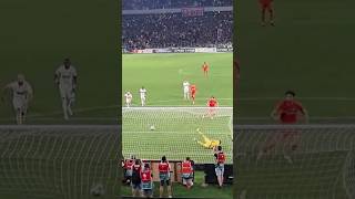 GOL ANDREA COMPAGNO fotbal romania fcsb