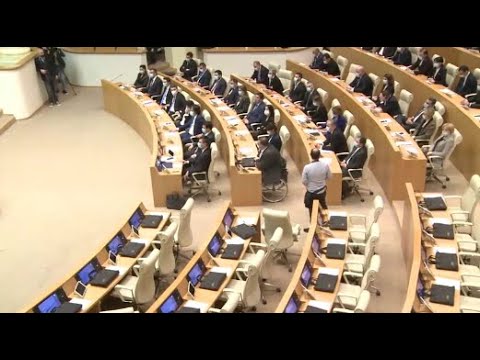 „ოცნების“ ერთპარტიულ  პარლამენტს პირველი ოპოზიციონერი დეპუტატები ჰყავს