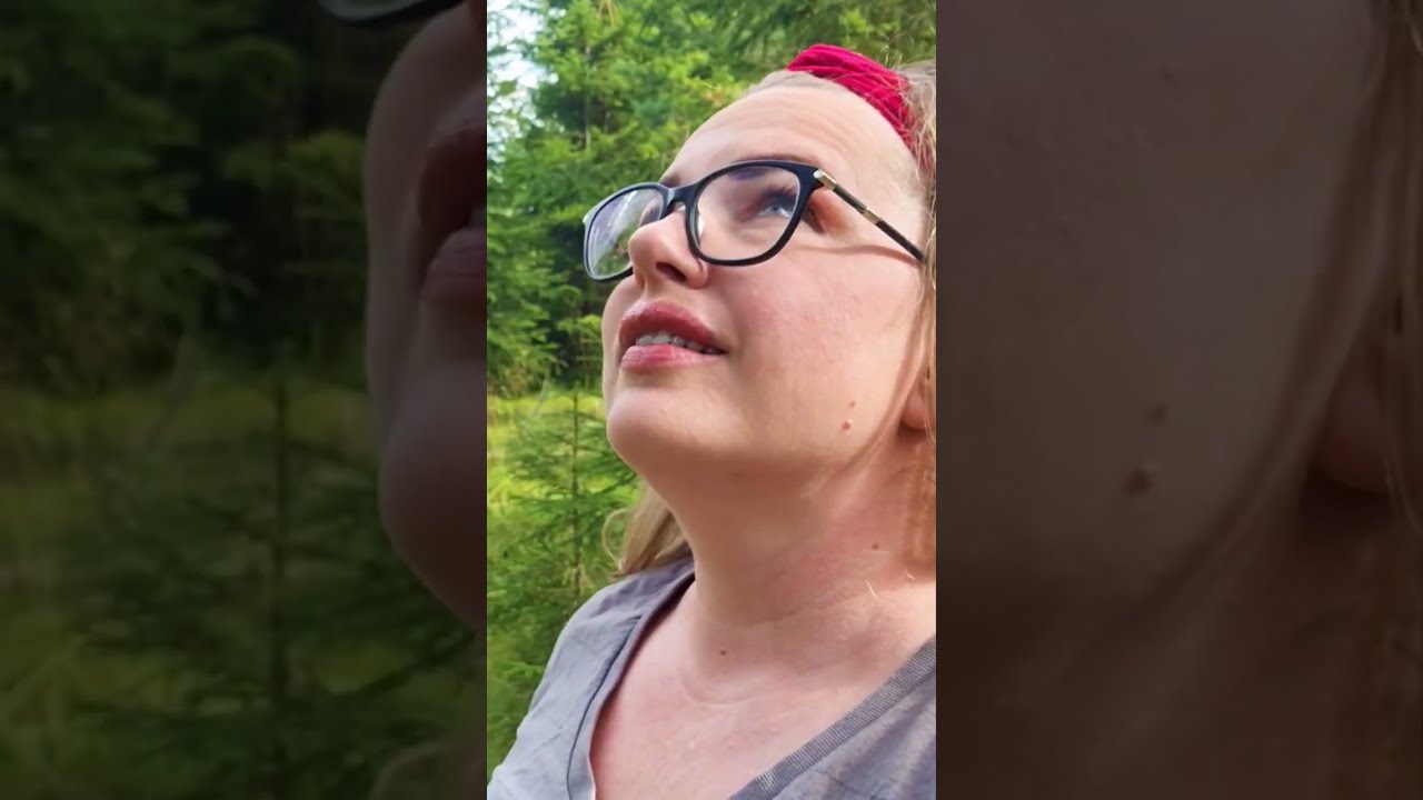 THIS LAND IS AWESOME! Norwegian Forest 