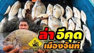 ล่าปลา อีคุด เมืองจันท์