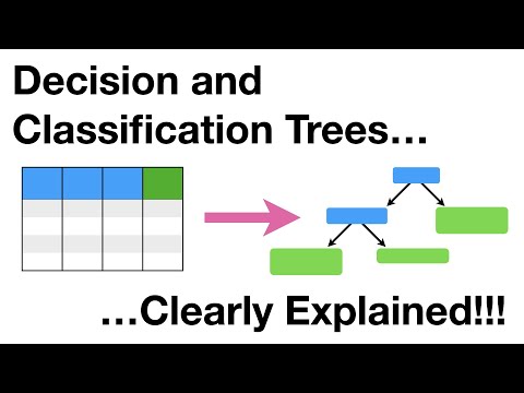 Vídeo: Què és un node en un arbre de decisió?