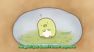 -English Subs- Sumikko Gurashi: Penghin?'s story /CV: Manami Honjo