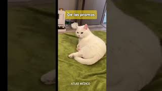 🚨 ¿Eres estudiante de medicina? 💉