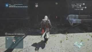 AC Unity-Nomad Mission Mercurius