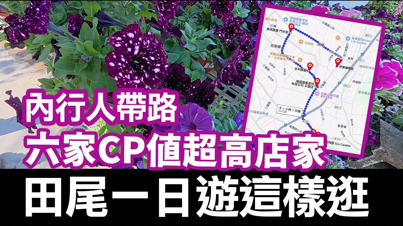 內行人帶路！六家田尾必逛店家！一日遊這樣逛！ #稀有植物 #彰化景點 #田尾