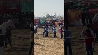 Hanumangarh￼ asaw mela 2025🐎