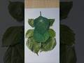🍃 Ganpati Bappa Made from Leaves | Nature Art Magic ✨🙏#art #leafart #viral #shorts #dnyanuartstudio