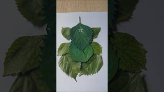🍃 Ganpati Bappa Made from Leaves | Nature Art Magic ✨🙏#art #leafart #viral #shorts #dnyanuartstudio