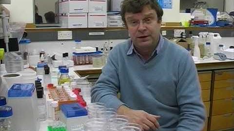 Helping businesses grow at I-TAC: Byotrol case study