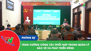 Tăng cường công tác phối hợp trong quản lý, bảo vệ và phát triển rừng