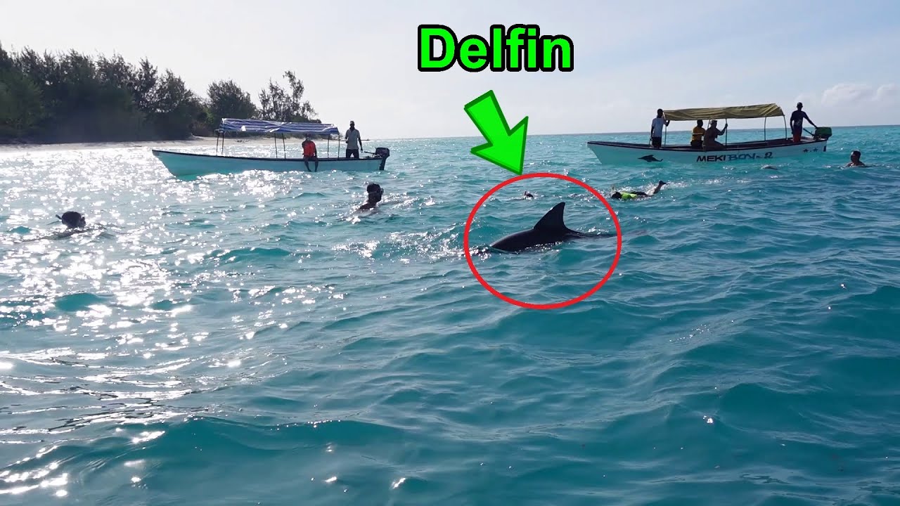 ACEASTA ESTE INSULA PRIVATA A LUI BILL GATES !!! 2 *Zanzibar* YouTube