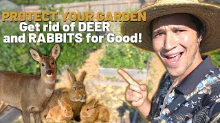 Top 3 Ways to keep Deer and Rabbits OUT OF YOUR GARDEN!!