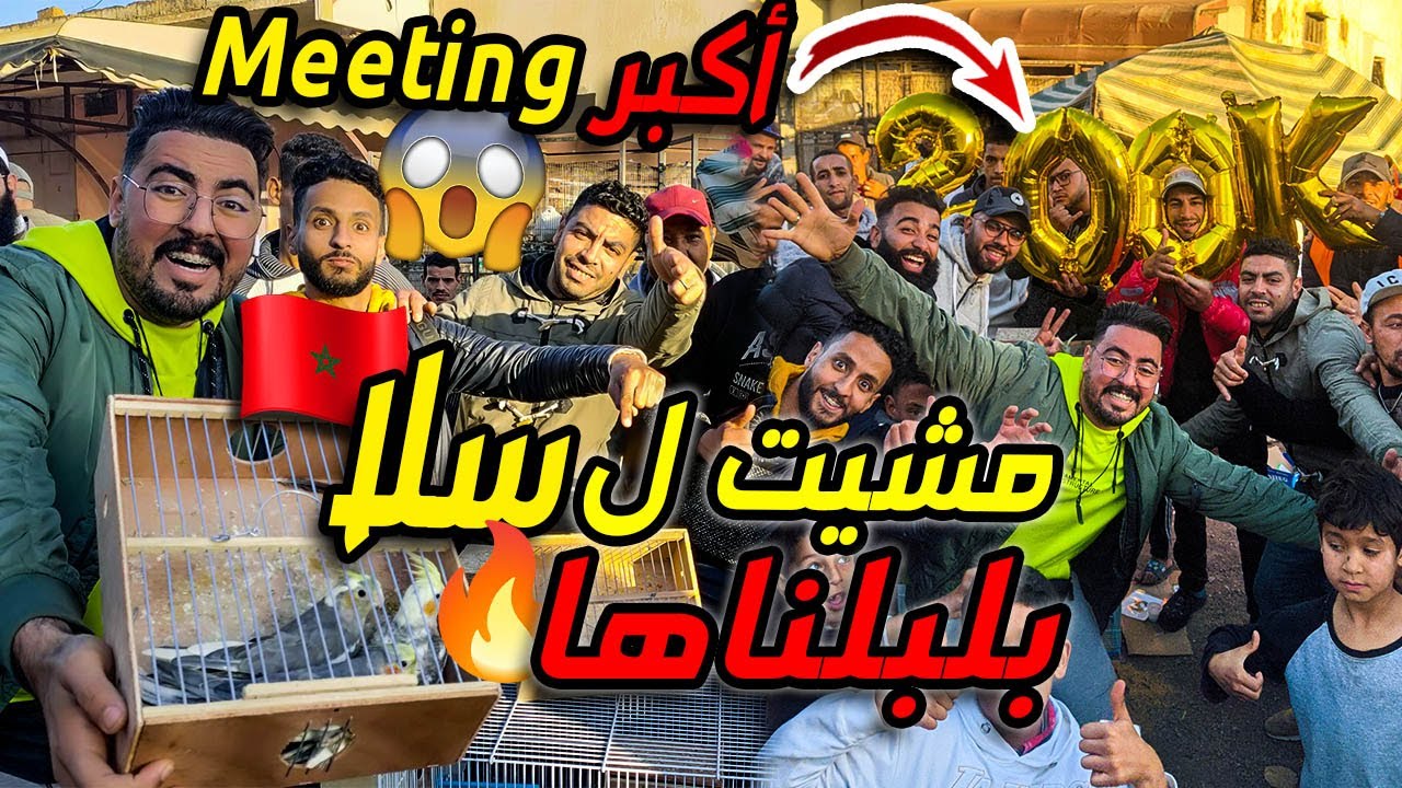 مشينا ل سلا 😱 بلبلناها💥..قولبونا ف الرباط😡 تصضمت ف الأتمنة ديال الطيور🤑😱