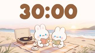 Chill Study Timer 🎵 | 30 Minute Focus for Study & Work screenshot 5