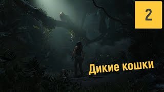 ДЖУНГЛИ | SHADOW OF THE TOMB RAIDER #2