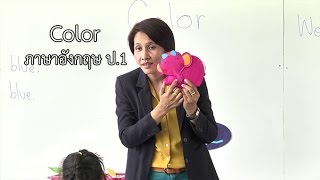 ภาษาอังกฤษ ป.1 Color ครูนงเยาว์ ลือขจร