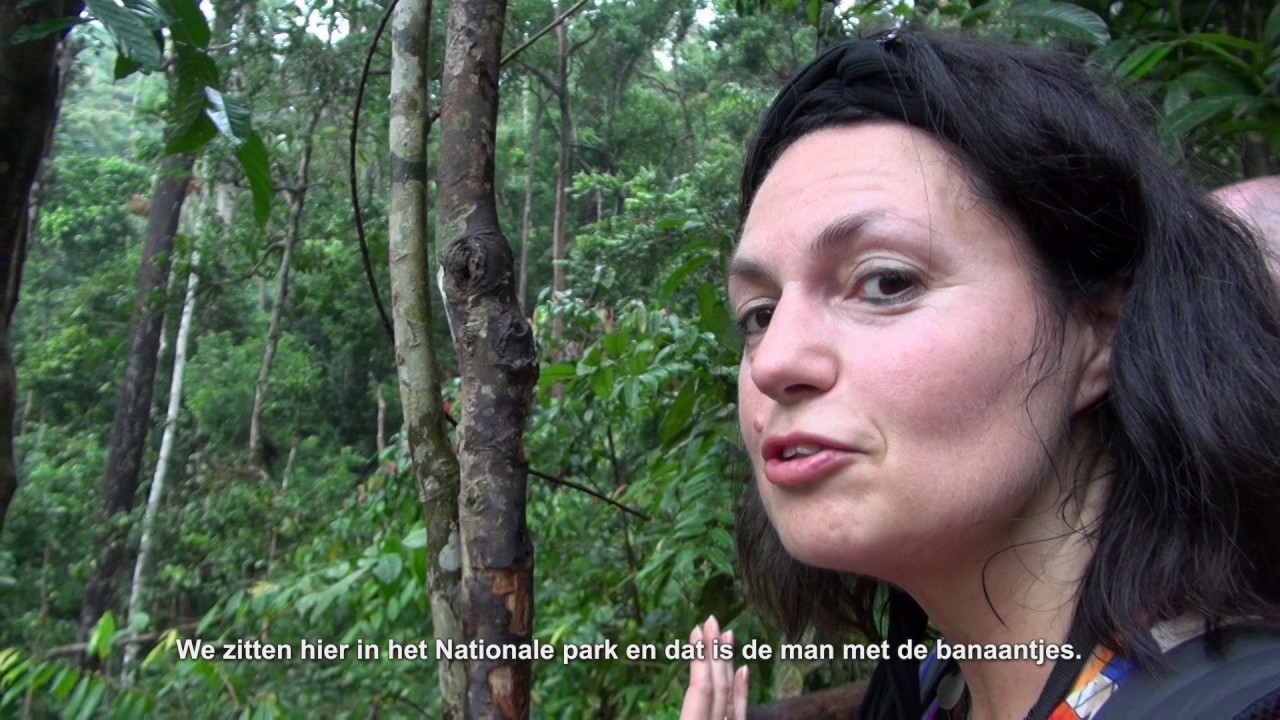 Trips & Travel RTL4 - 333 Travel Indonesia