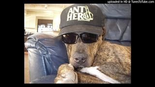 Gravediggaz-Constant Elevation