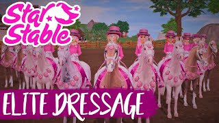 Beginner commands ELITE DRESSAGE - Star Stable Online ft. Pink Queens Legacy How To Login To Teamwork Com With Sso Beginner Guide