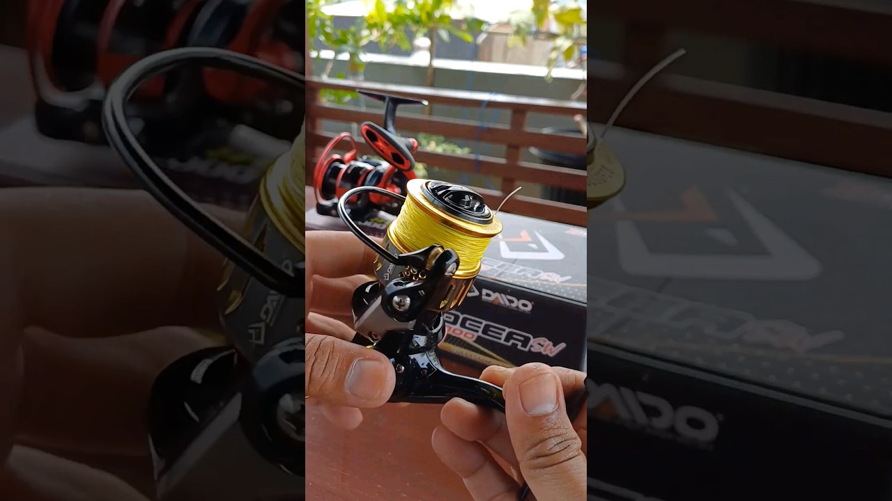 Cek sound daido ocea sw ASMR !! 