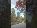 Blackrock Mountain State Park Deer Sighting Oct 2025