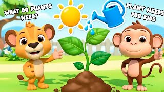 Sunshine Makes Plants Grow! 🌱 | Plant Needs for Kids! (The Know-It Kids)