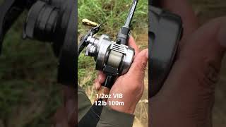 CALCUTTA CONQUEST 101/100DC (100cm) Glidebait Test