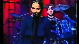 Bjork - Human Behaviour by "COX" Net Worth