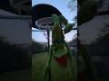 Kermit the frog gets dunked