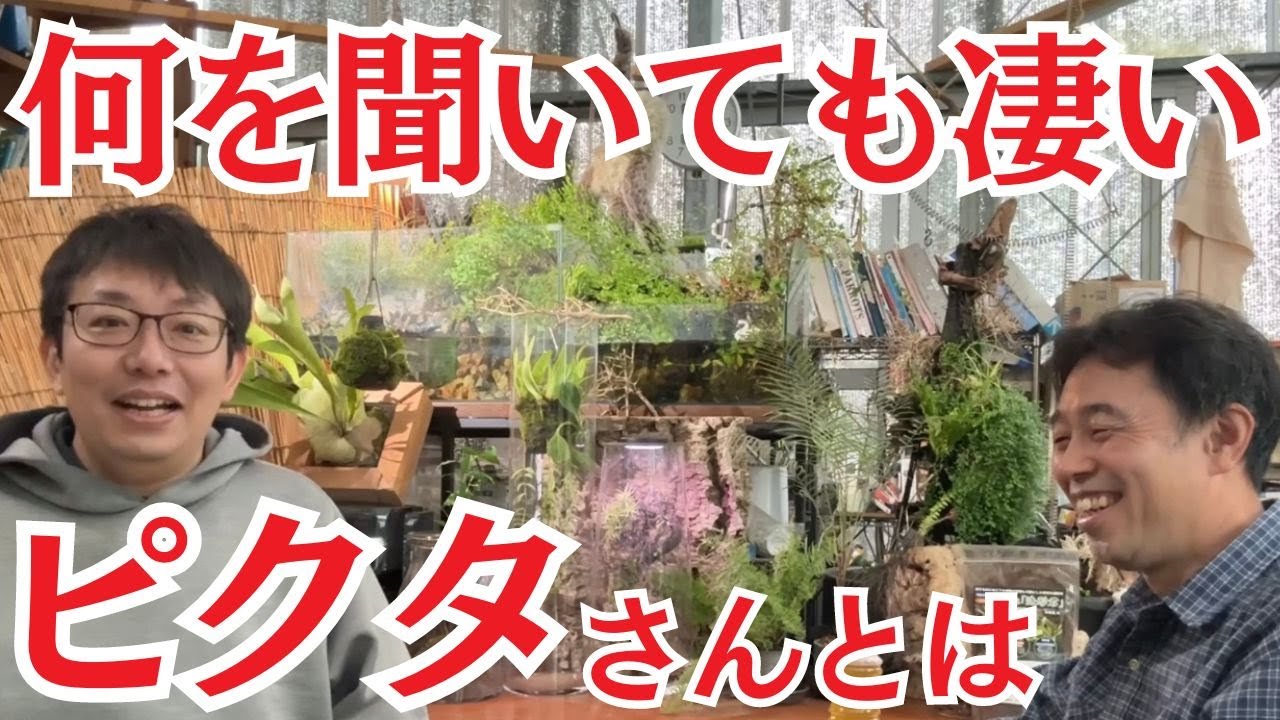 【完全保存版】グッピー飼育におすすめな水質の答えを、ピクタさんに聞きました(前編)