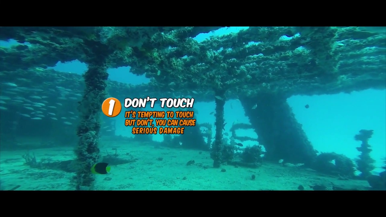 10 Things Scuba Divers Need to Know YouTube