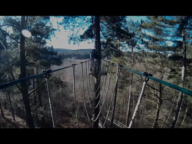 Go Ape Cannock Chase Tree Top Adventure Youtube