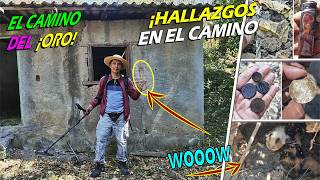 ¡HALLAZGOS en los CAMINOS del ORO! 💰 ¡Encuentro Objetos Antiguos en la Búsqueda!