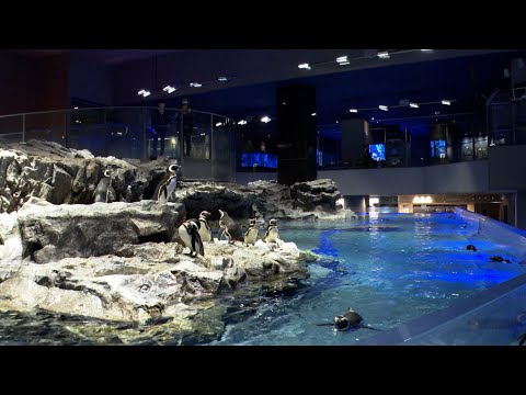 Sumida Aquarium 2
