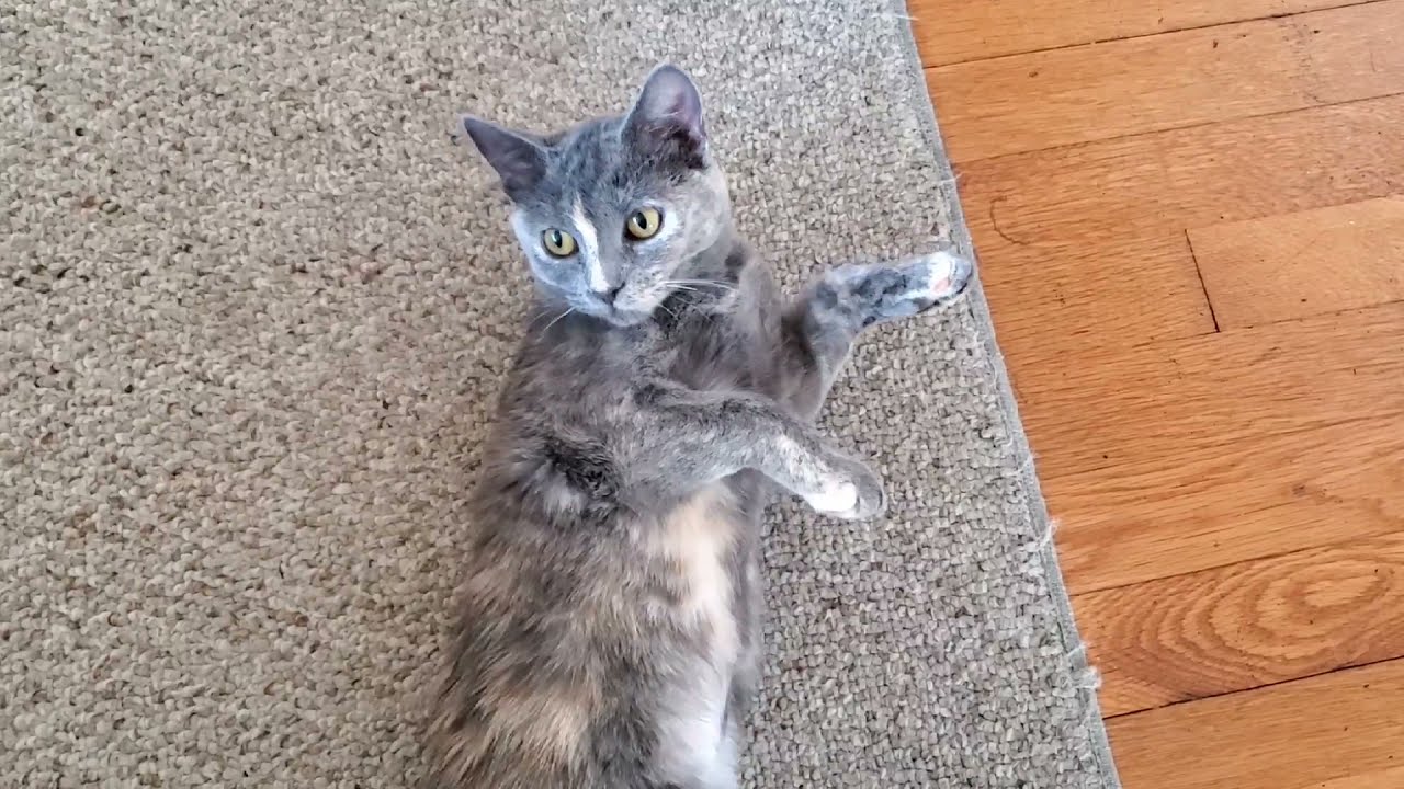 Tsuki Savored the Fresh Air and Gazing Out the Window