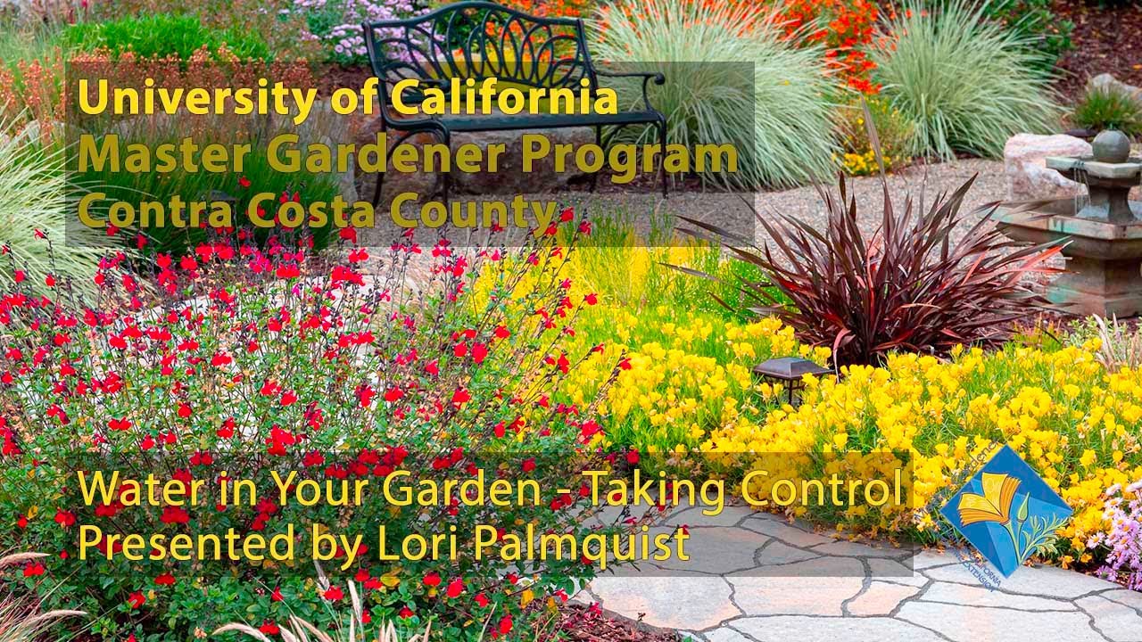 Watering the Garden During a Drought: It's Arid Extra Dry! - HOrT COCO-UC  Master Gardener Program of Contra Costa - ANR Blogs