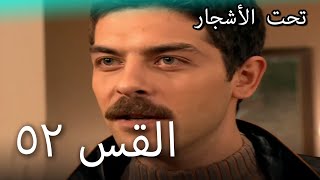 52 سنوات الضياع