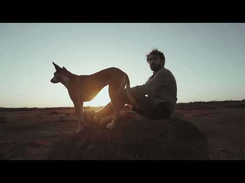 كلب الباسنجي  